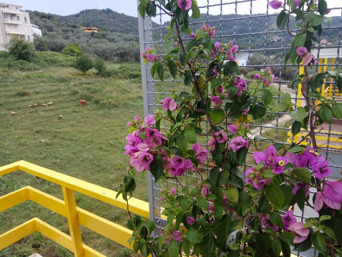 Olive Tree Apartment Tiranë Luaran gambar